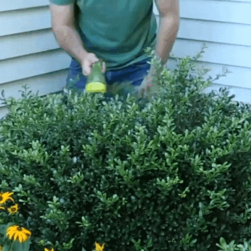 HedgeGenie™️- 2 In 1 Cordless Electric Hedge Garden Trimmer - strohmly.com